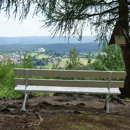 Wanderlust - Thueringer Wald, Rennsteig, Finsterbergen Lägenhet *