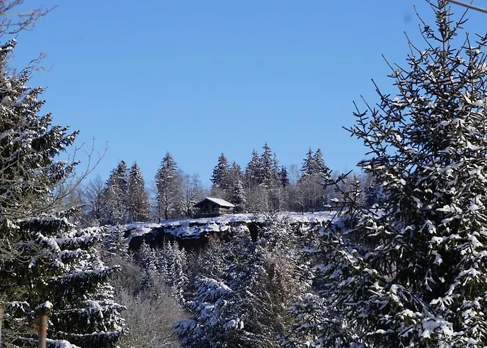 Wanderlust - Thueringer Wald, Rennsteig, Finsterbergen *