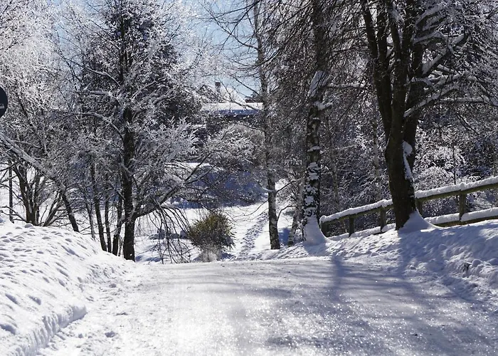 Daire Wanderlust - Thueringer Wald, Rennsteig, Finsterbergen