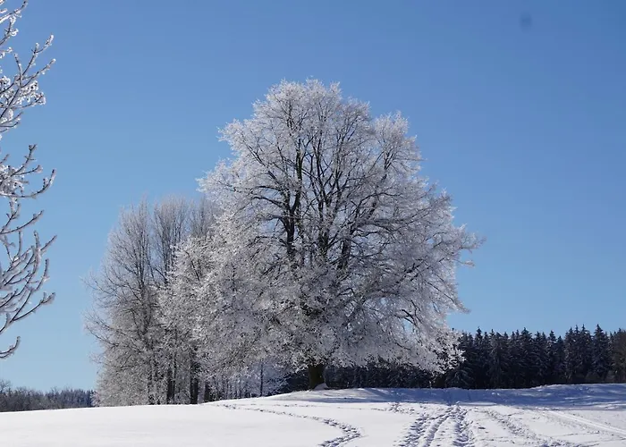Daire Wanderlust - Thueringer Wald, Rennsteig, Finsterbergen Friedrichroda